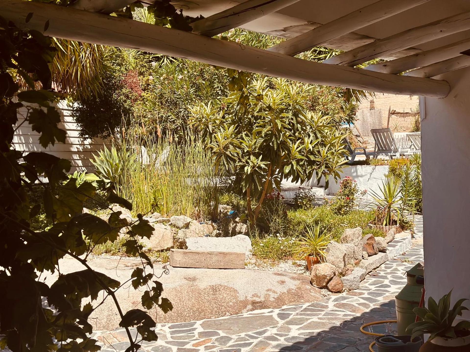 Casa Rico Frade Garden