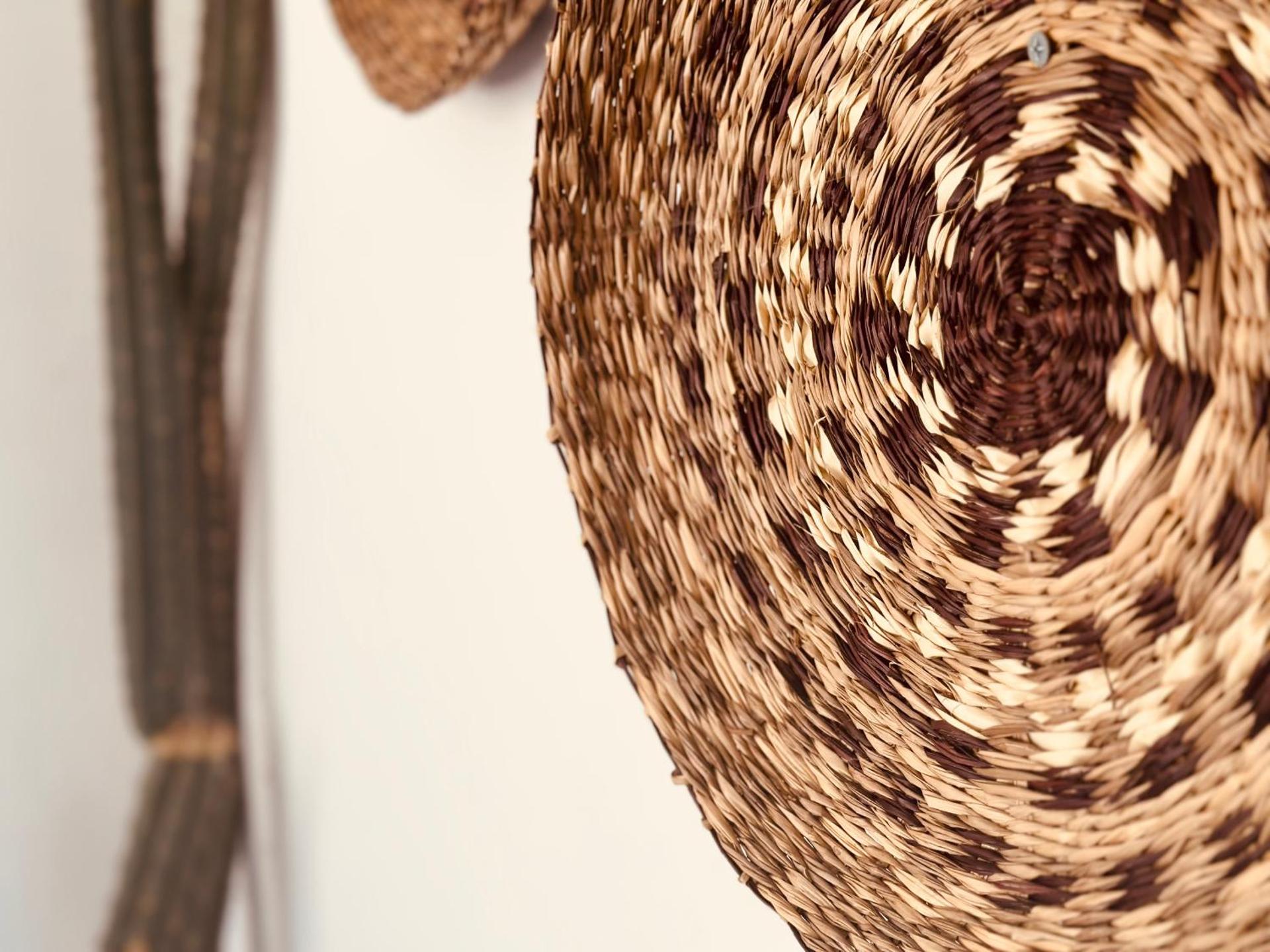 Casa Rico Frade Garden