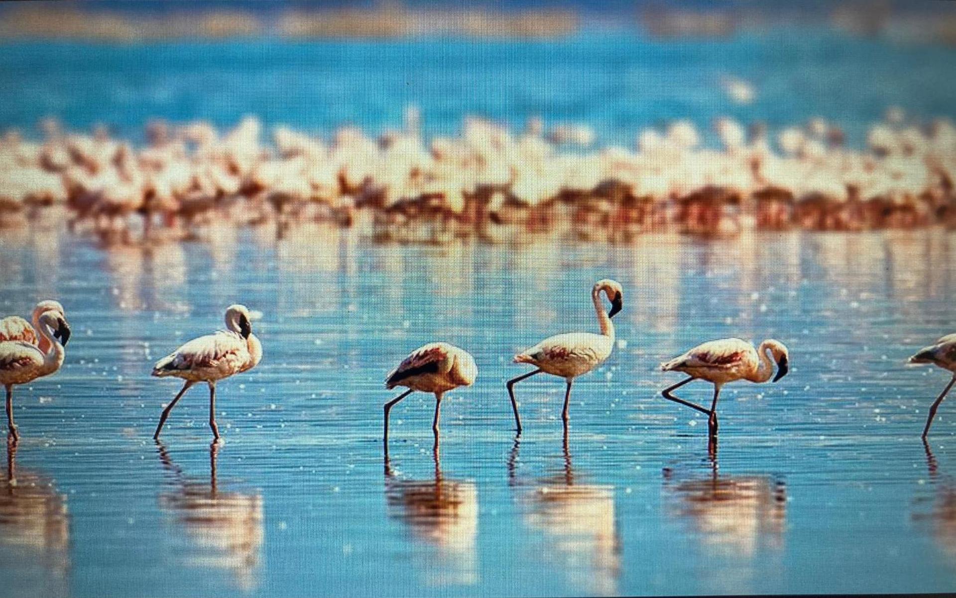 Correspondances la Colette Pont Du Gard