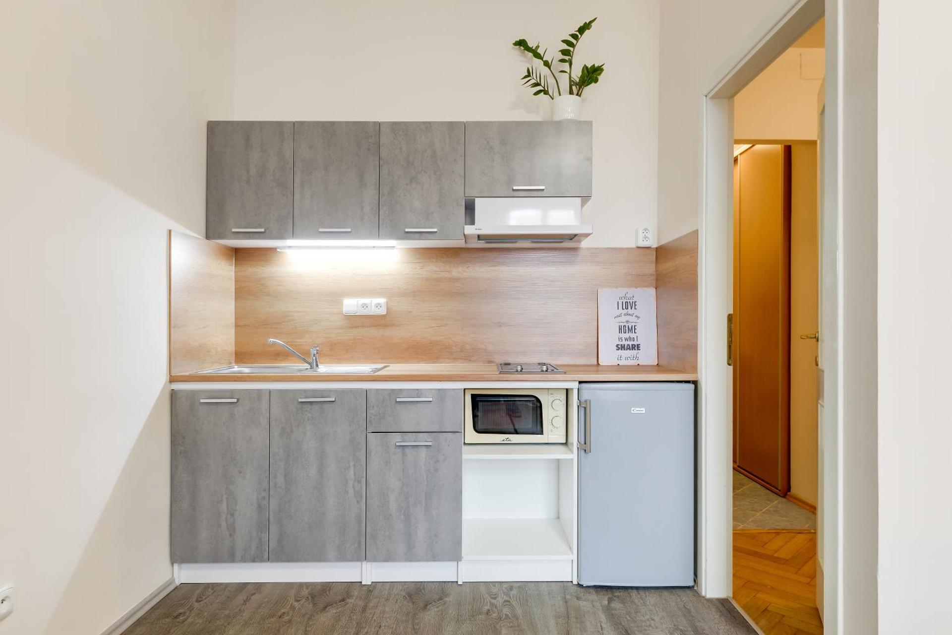 Vita Nejedleho apartments