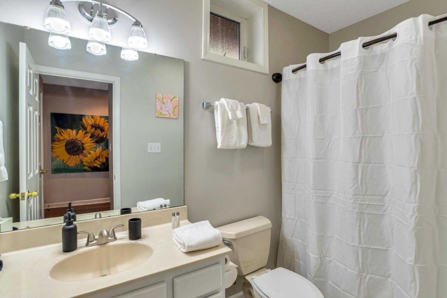 South Asheville Townhome 14 A