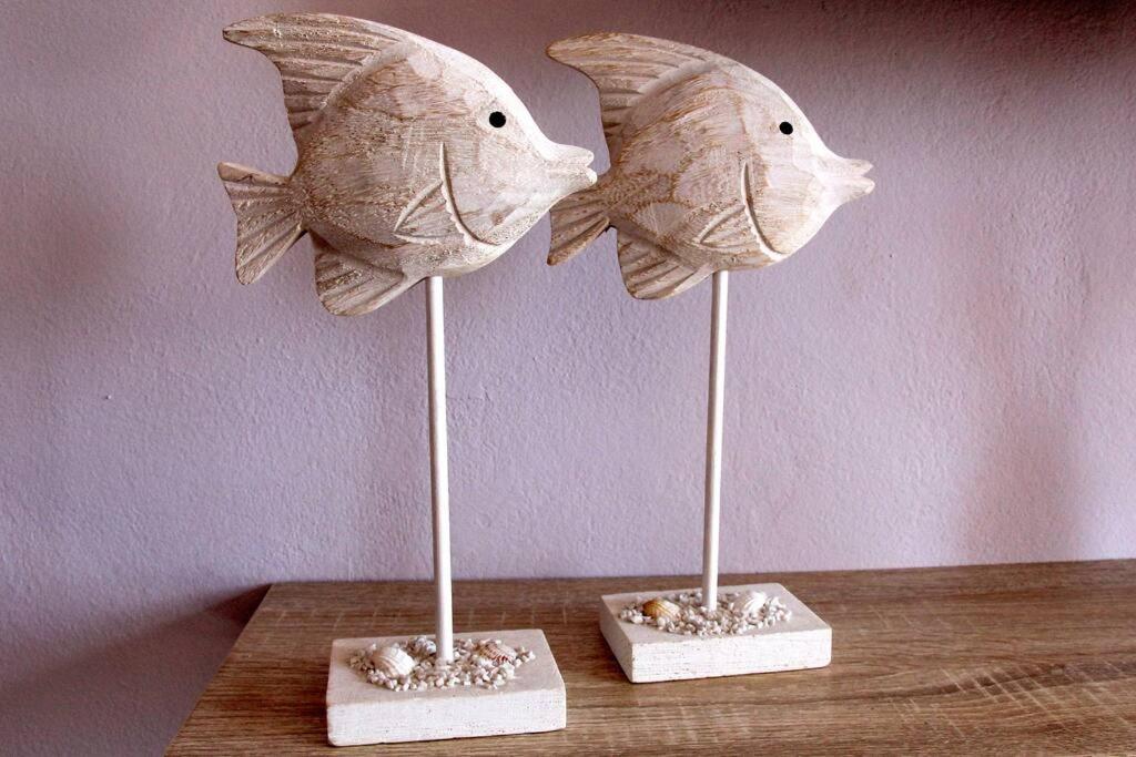 Κεντρικό κομψό ήσυχο στούντιο.