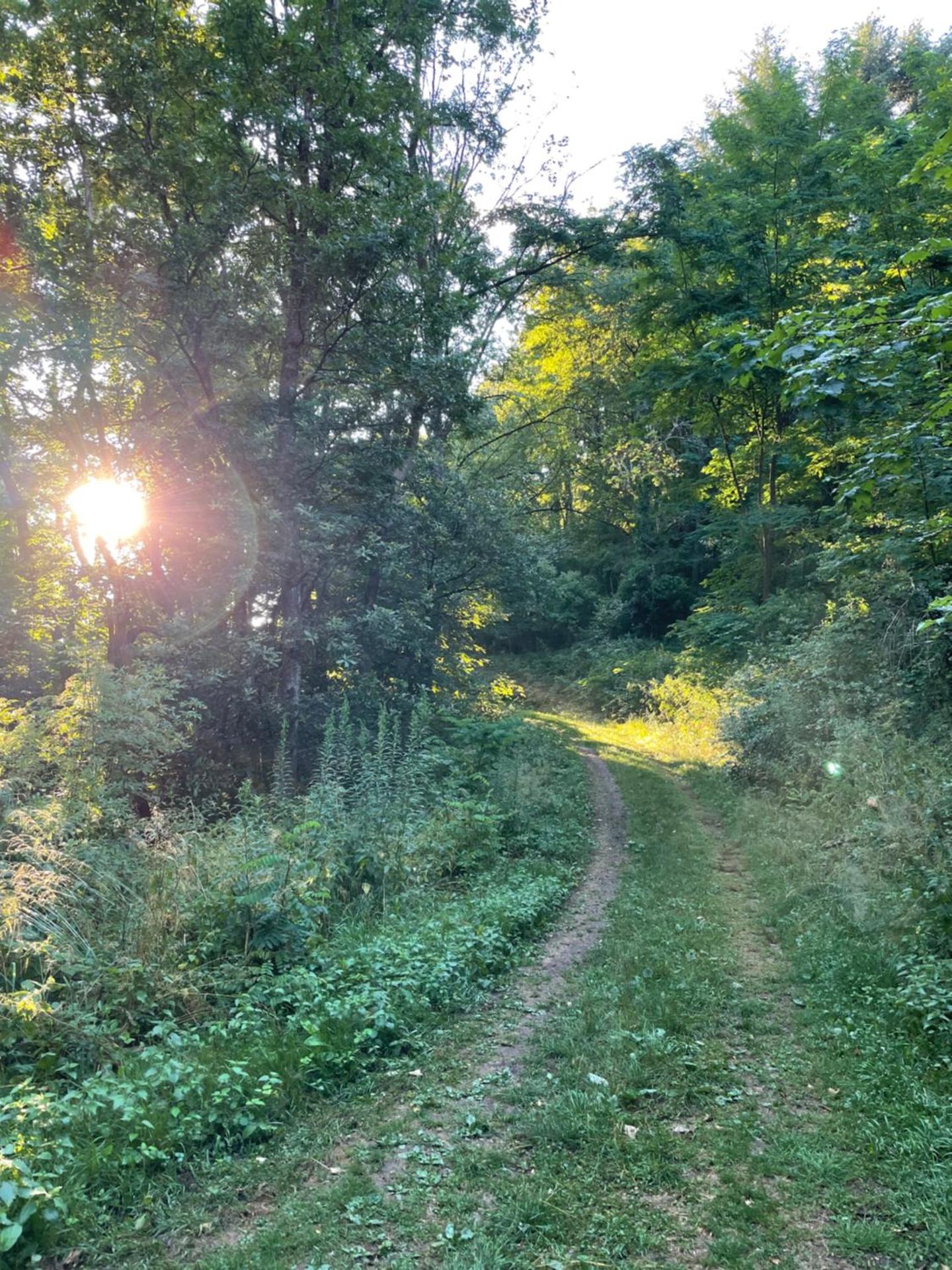 Maison d'hôtes des Mondfänger