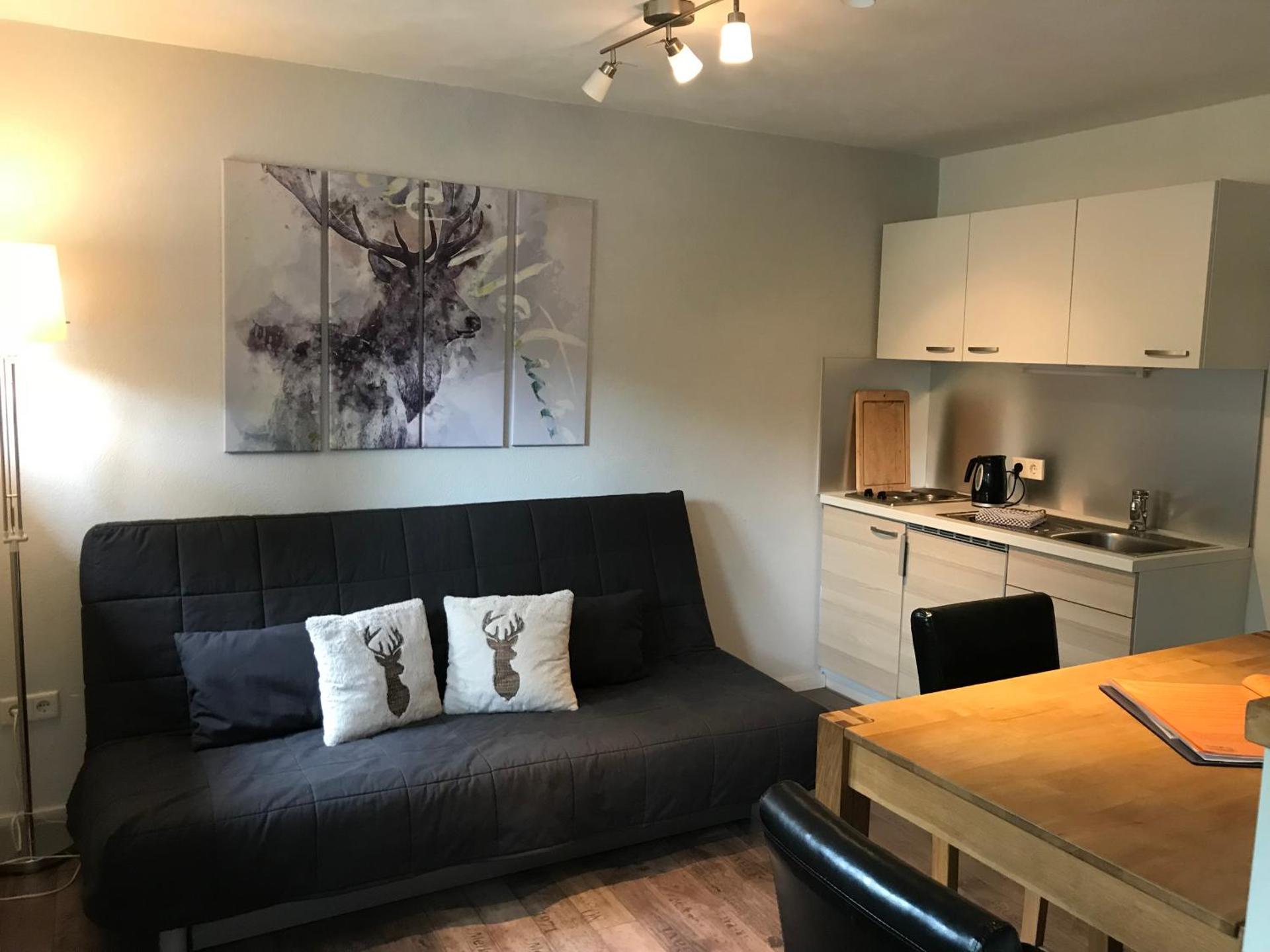 Apartment with Mountain View 8