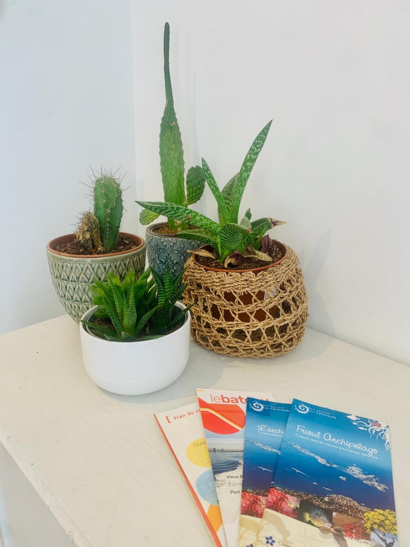 Un havre de paix marseillais