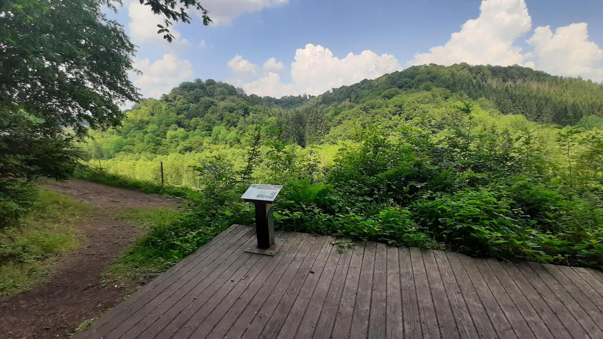 Tiny Gaumaise - Tiny house à Saint-leger