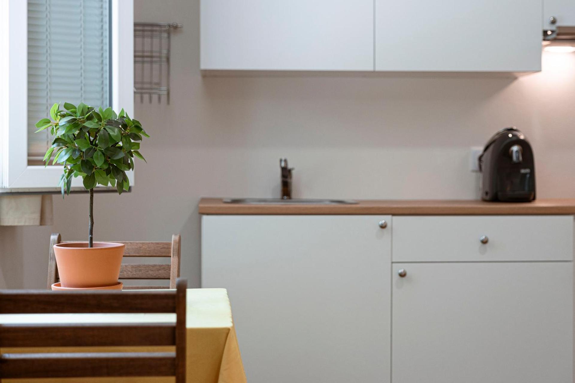 Kitchen or kitchenette