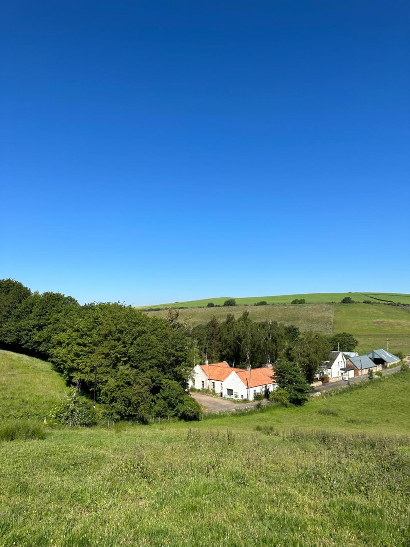 Borthwick Farm Cottage Pottery