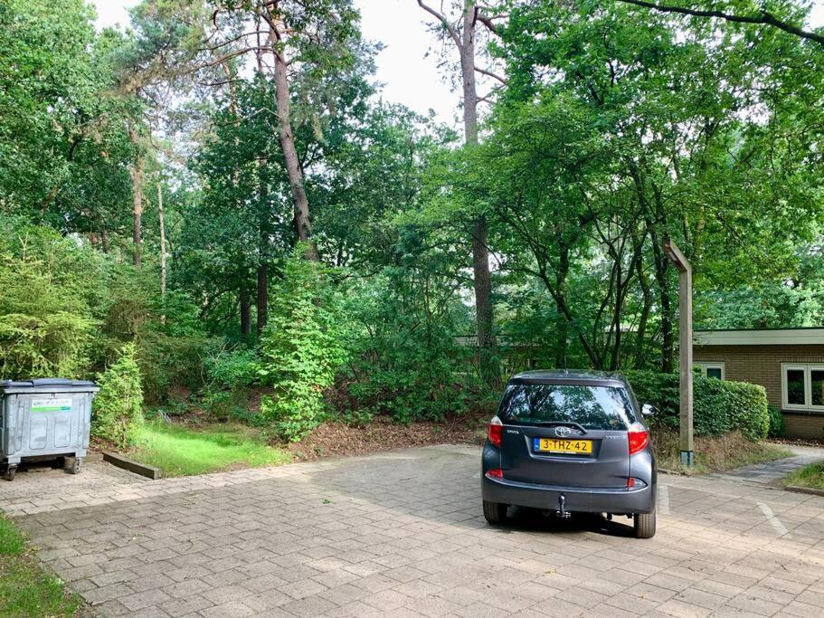 Sluwe Vos: ontspannen in het bos!