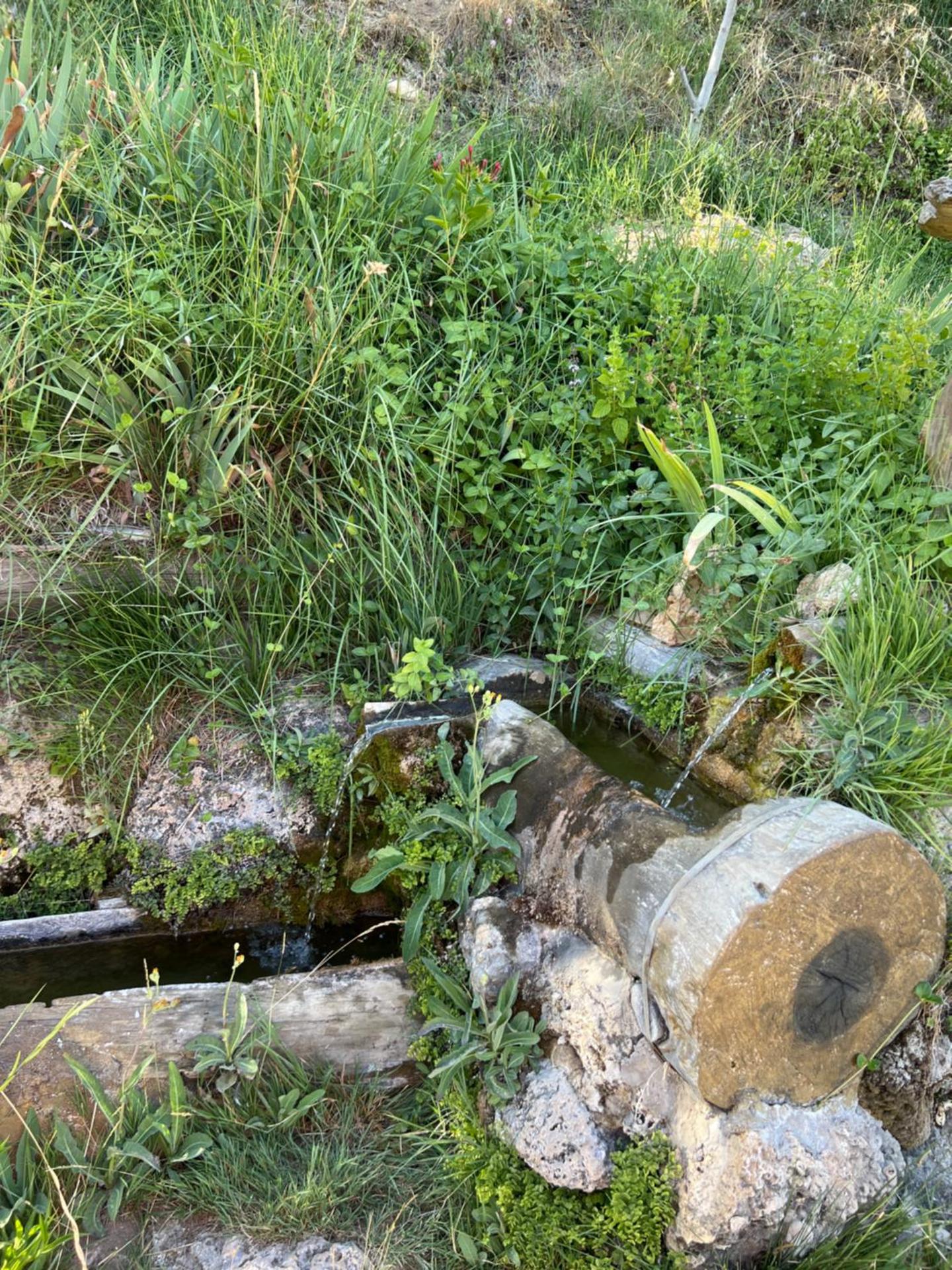 Apartamentos Los Parrales