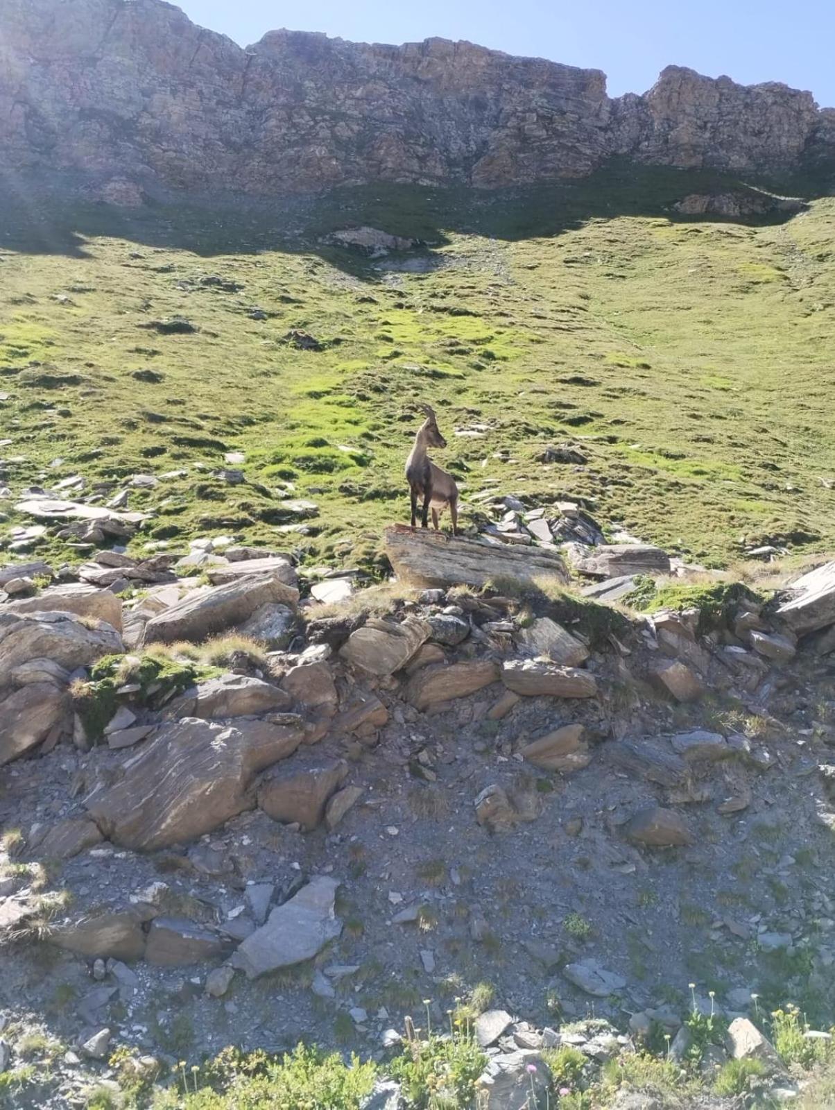 Locazione Turistica Varaita-Brossasco