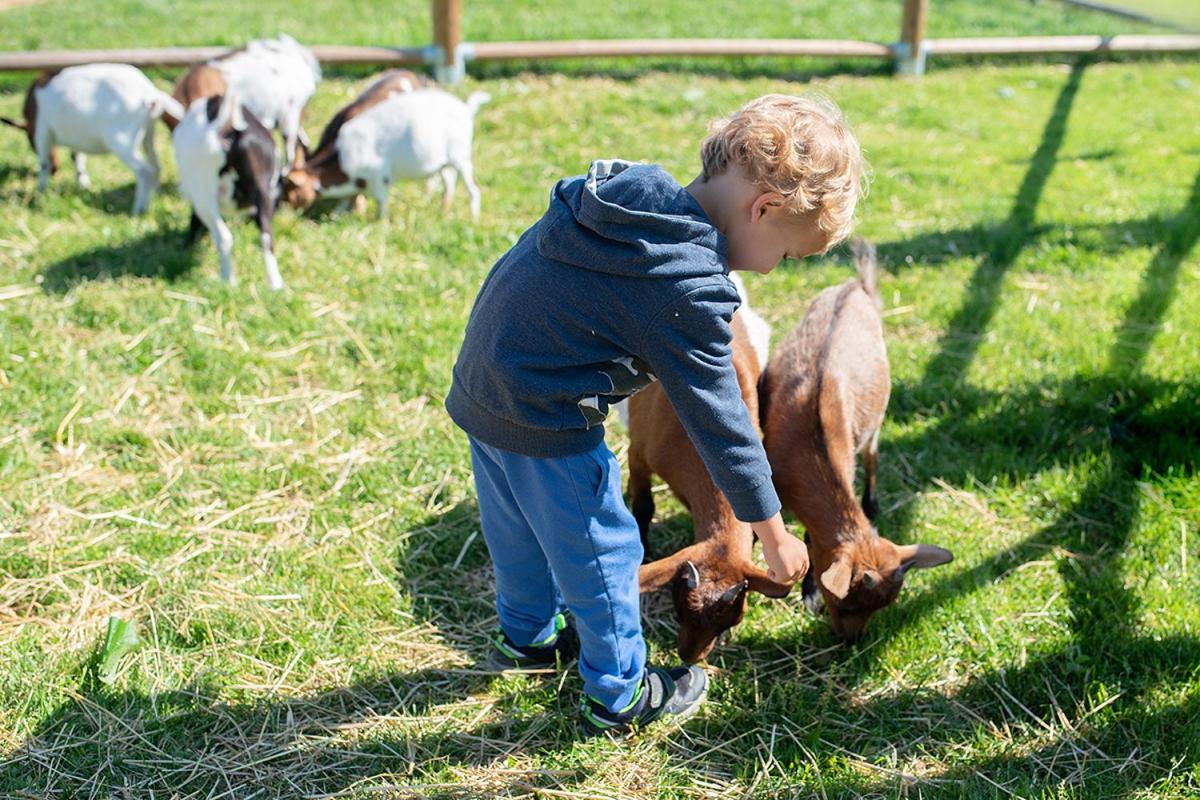 Wellness zoo apartmány Lhota