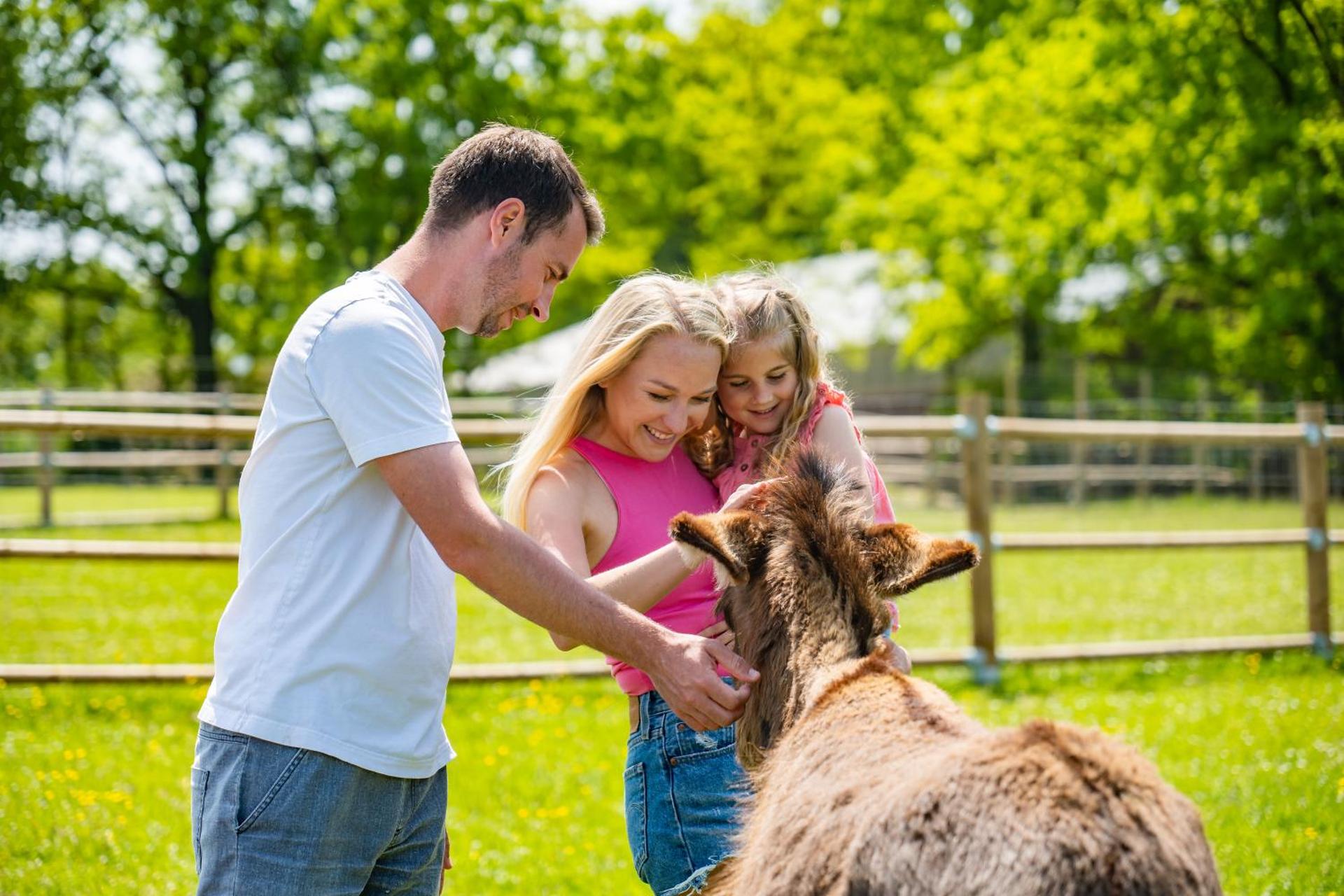 Wellness zoo apartmány Lhota