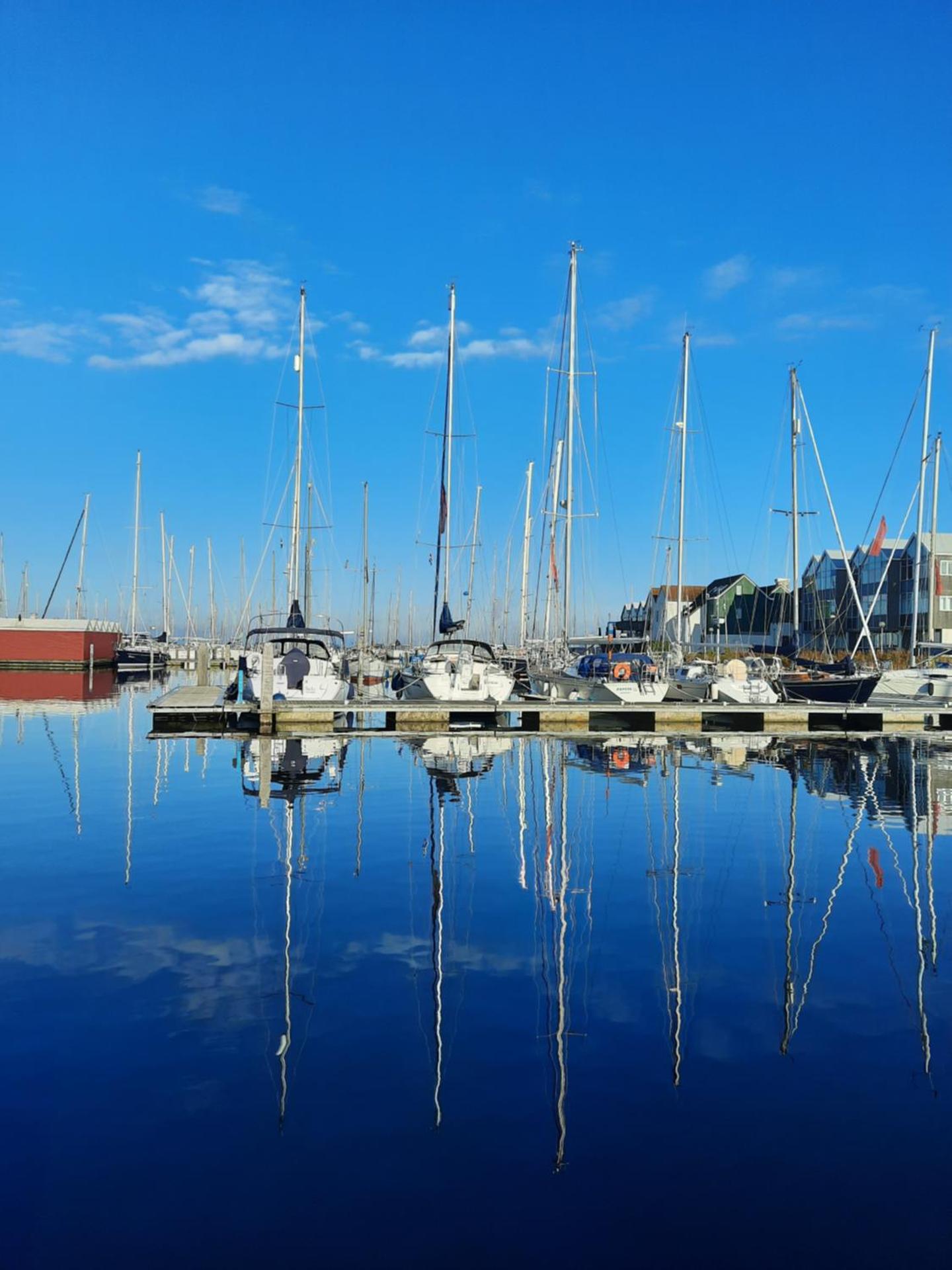 Studio Flevo Batavia