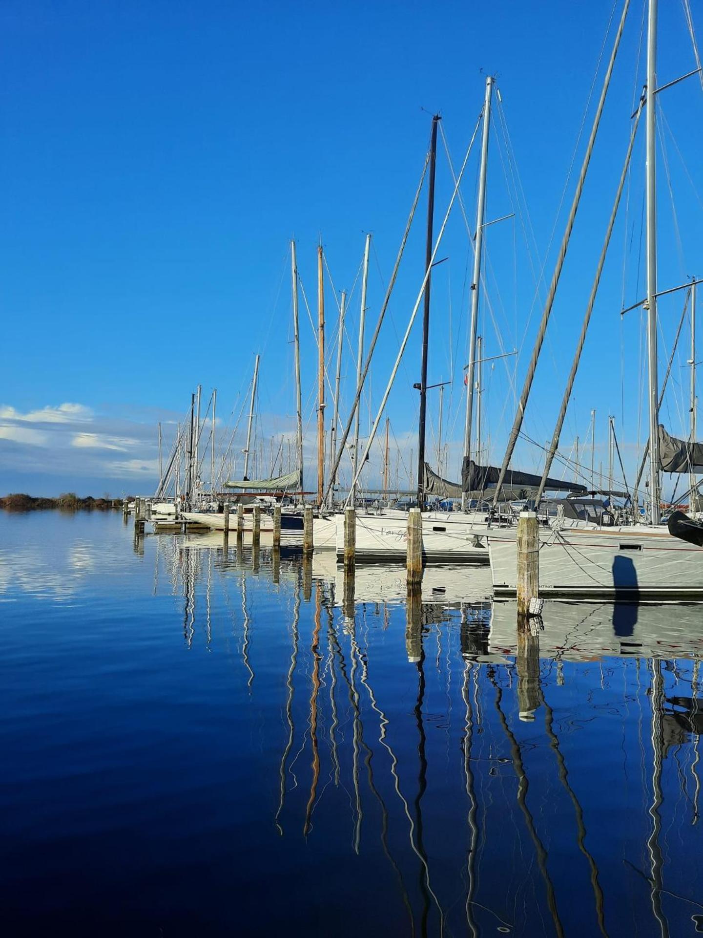 Studio Flevo Batavia