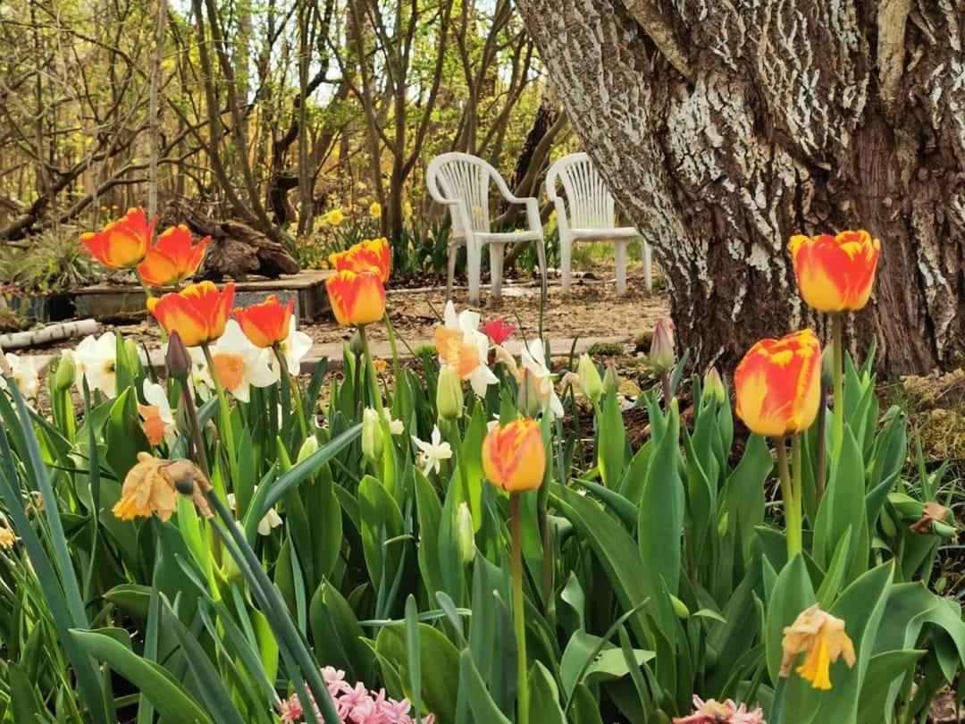 Tofta Konstgalleri-Familjelägenhet