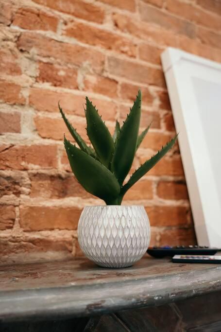 Sleek and Cozy Micro Fells Point Residence!