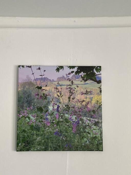 Guest house Truro garden retreat