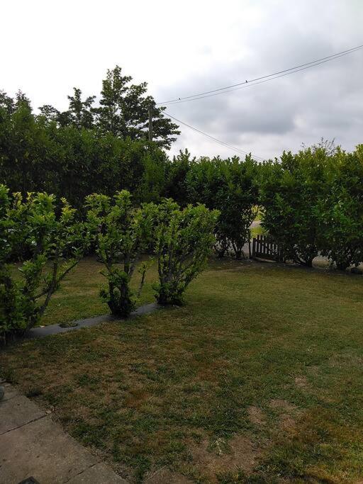 Gîte Le Trèfle Studioescos