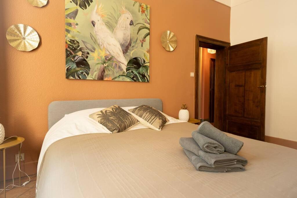 Camelia, un charme Montois