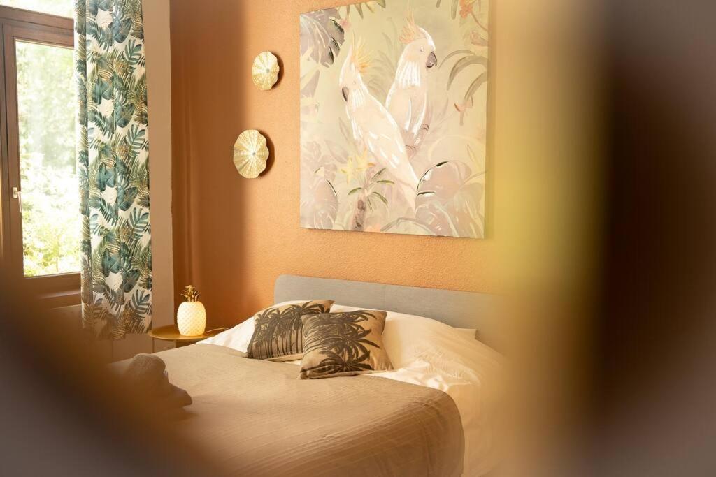 Camelia, un charme Montois