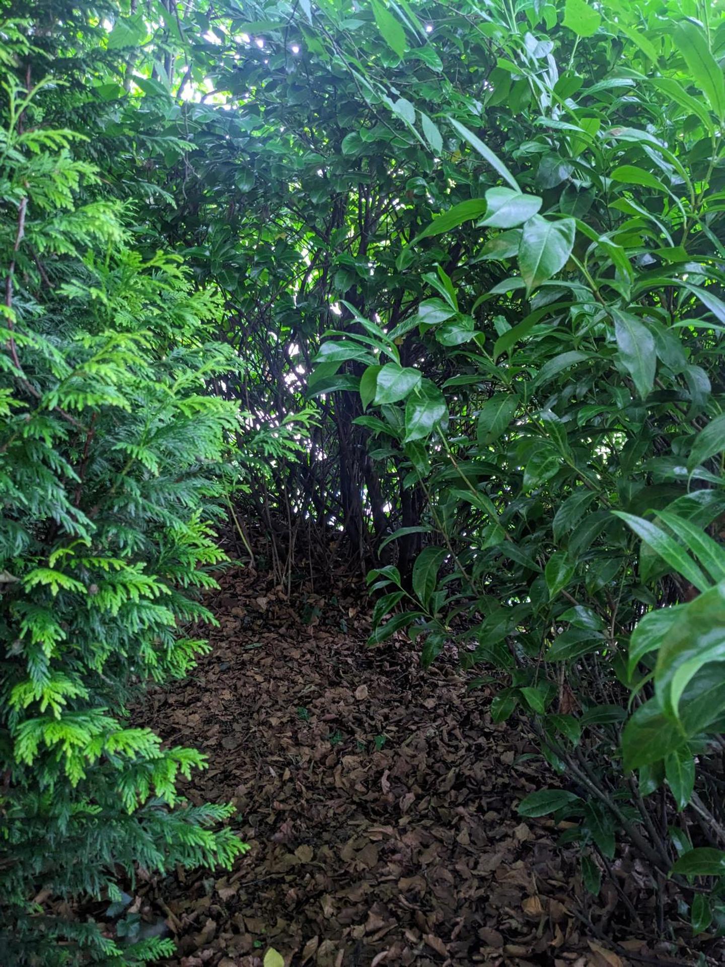 Stay Wild Retreats 'Glamping Pods and Tents'