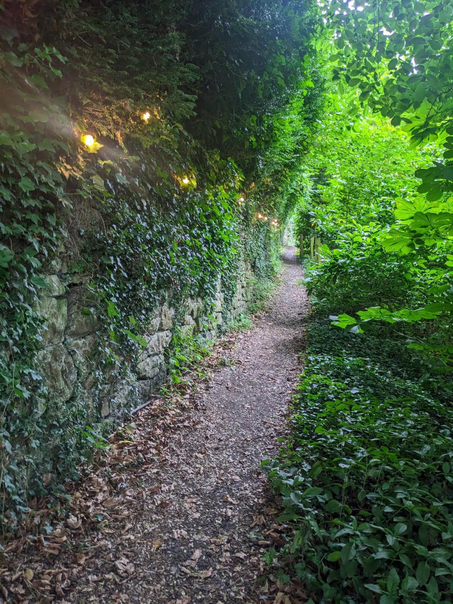 Stay Wild Retreats 'Glamping Pods and Tents'