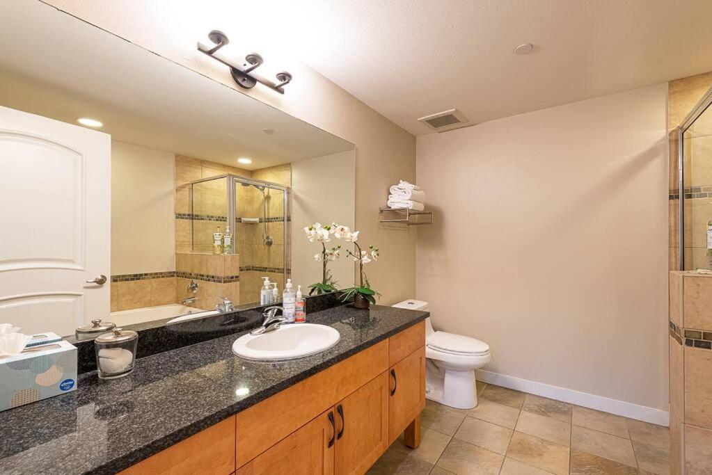 Ski-In / Ski-Out 1 Bedroom Condo base of WP Resort