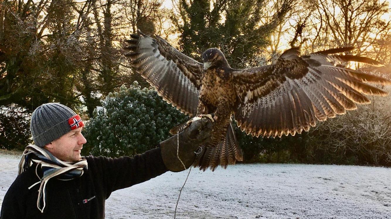 Bird House - Sleep with the Owls!