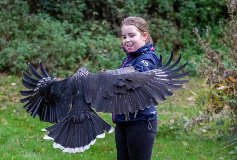 Bird House - Sleep with the Owls!