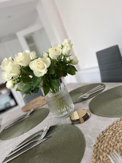 OurGreystones - Pet friendly home from home stay.