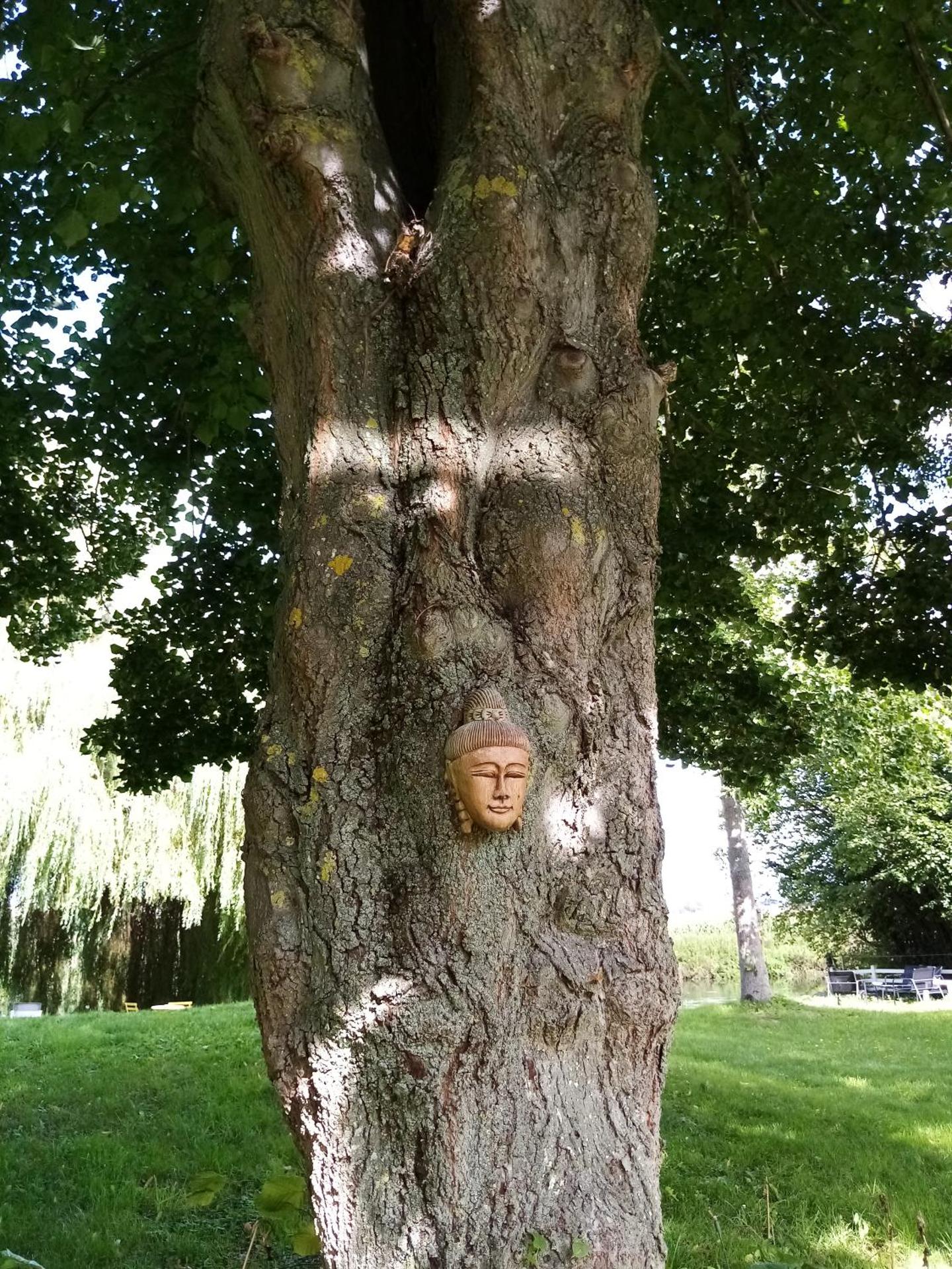 Havre de paix au bords de l'Eure - divers hébergements