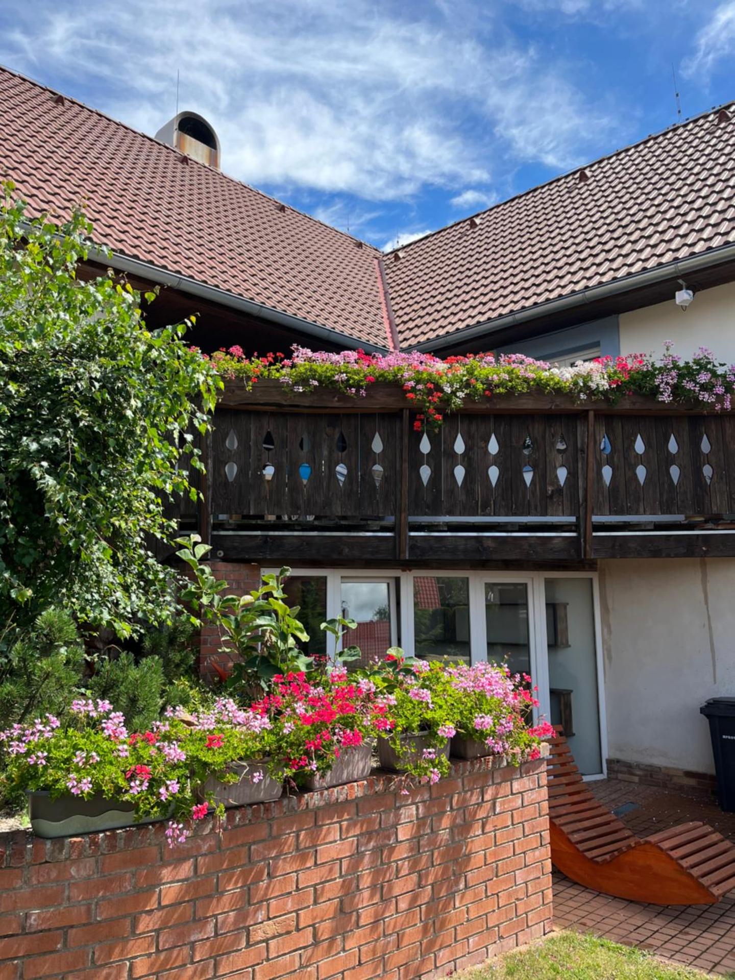 Vojnův Městec Dům s vůní dřeva