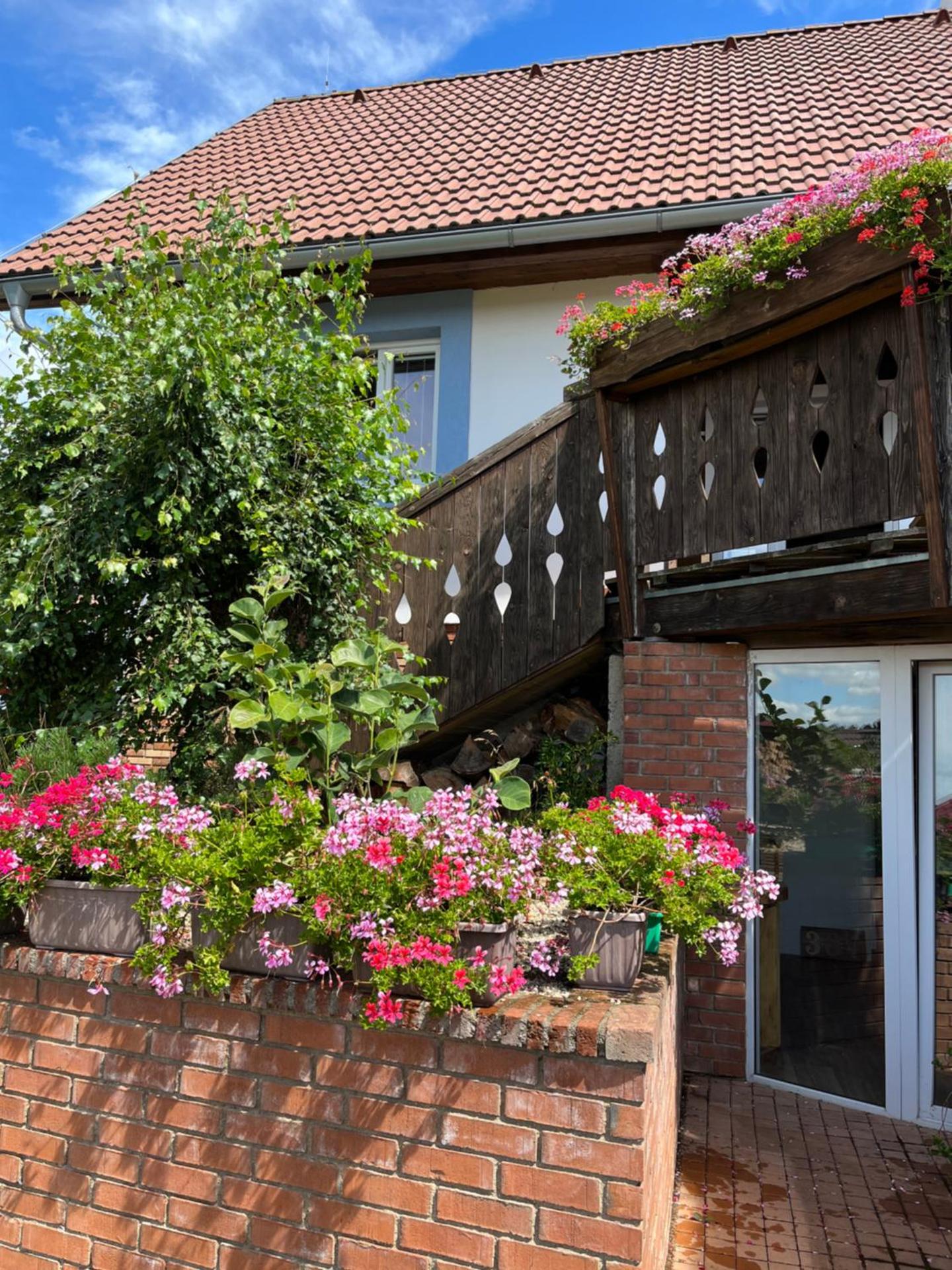 Vojnův Městec Dům s vůní dřeva