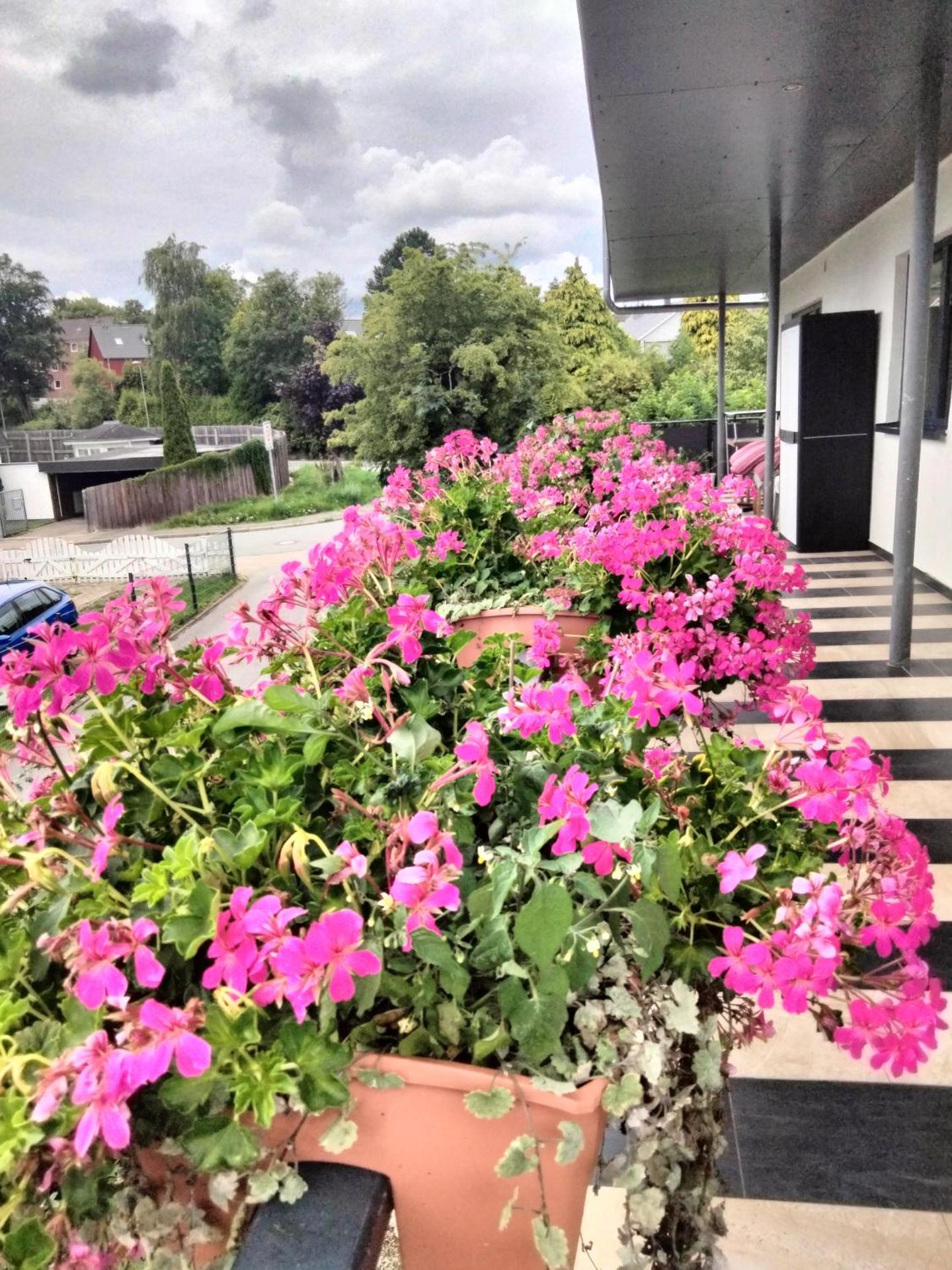 Komfort-Ferienwohnung mit Ostseeblick ,Entspannung