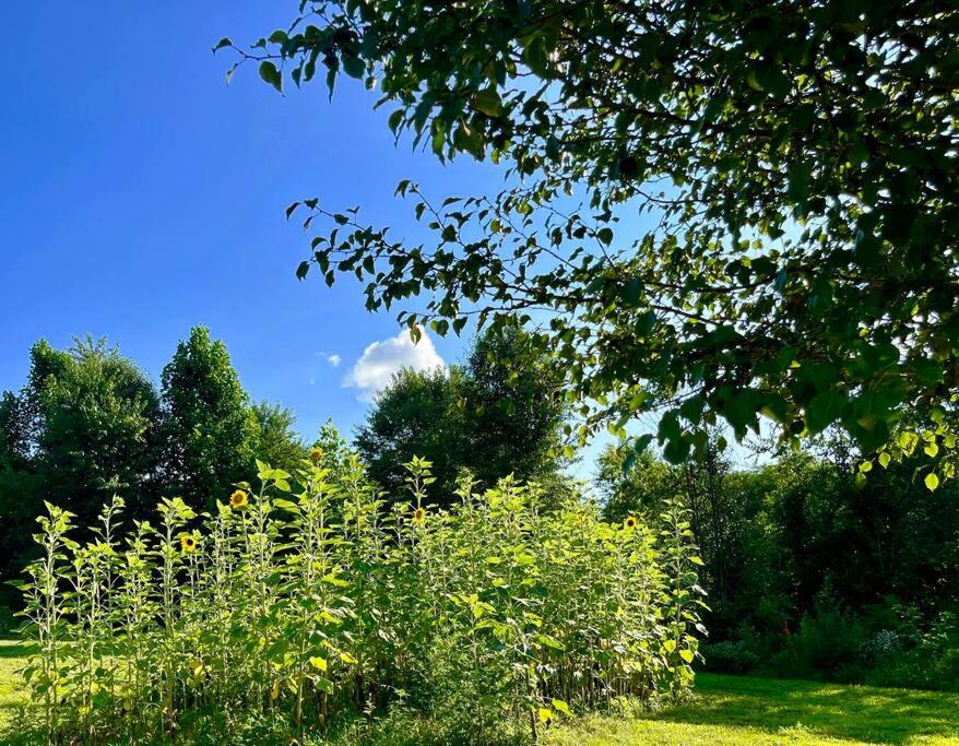 #4 Kentucky Bourbon Trail Bourbon Barrel Cottages