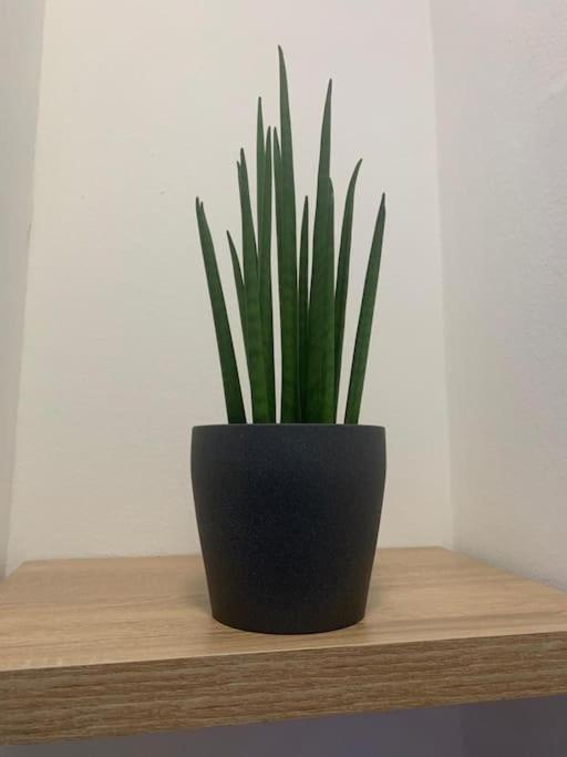 Nibu Appartamenti - Appartamento centrale comodo a tutto, anche a Villa Chiara