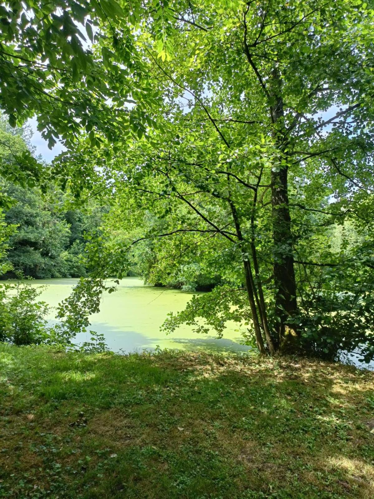 Lake view