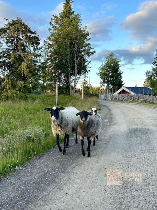 Large cabin Sjusjøen XC ski in out & lovely view