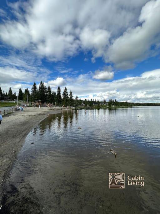 Large cabin Sjusjøen XC ski in out & lovely view