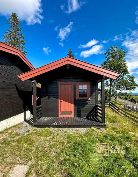 Large cabin Sjusjøen XC ski in out & lovely view