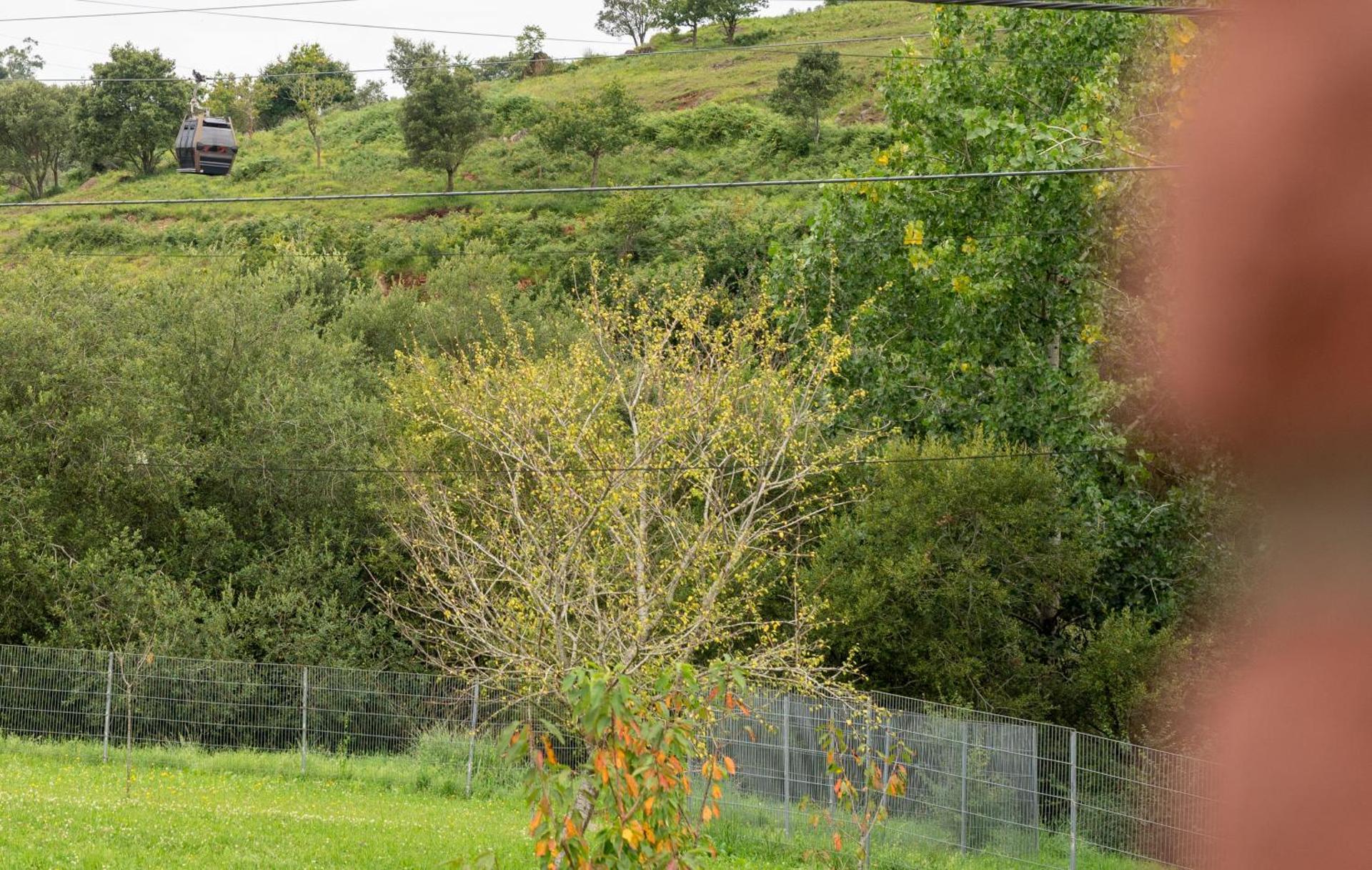 La Casita Verde de Cabárceno