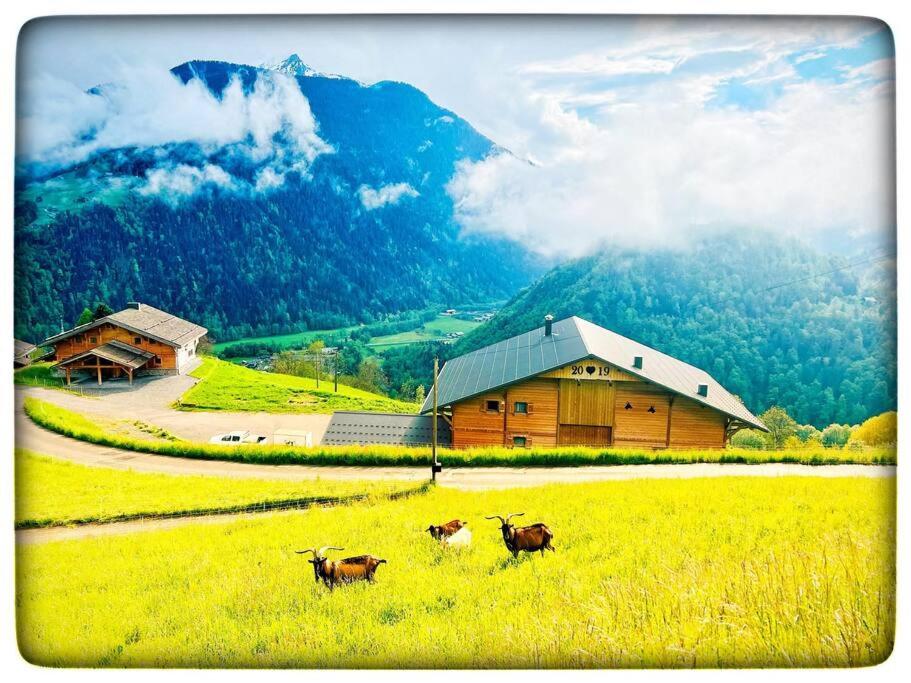 Appartement en Montagne