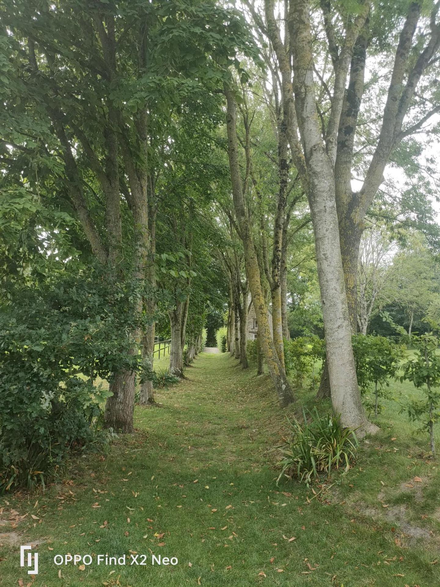 Domaine du Manoir de Vains