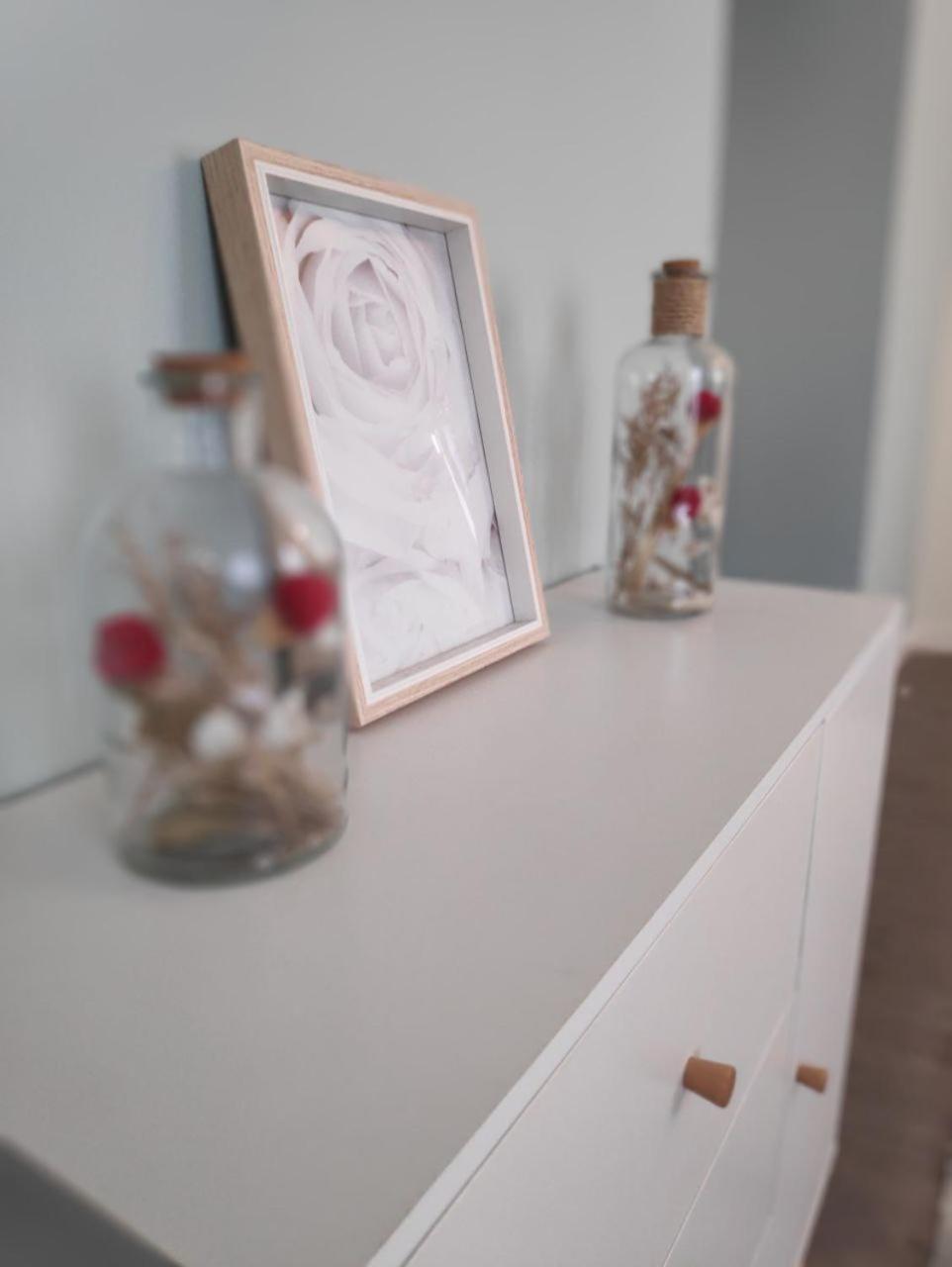 T2 neuf Le SCANDINAVE