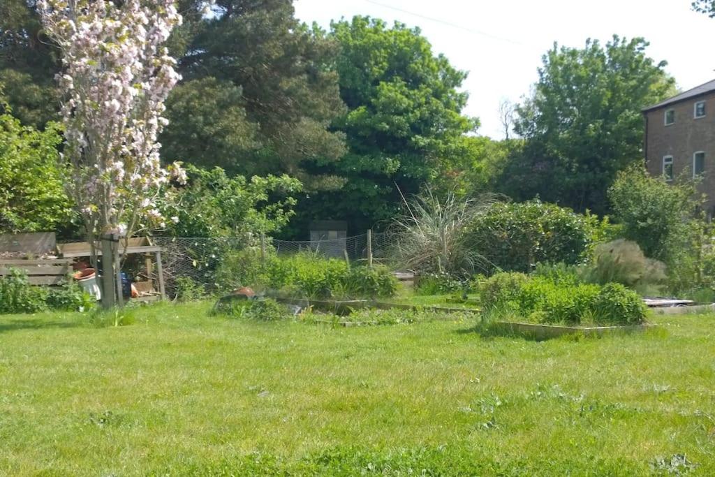 Period Cottage near Suffolk Coast and Forest