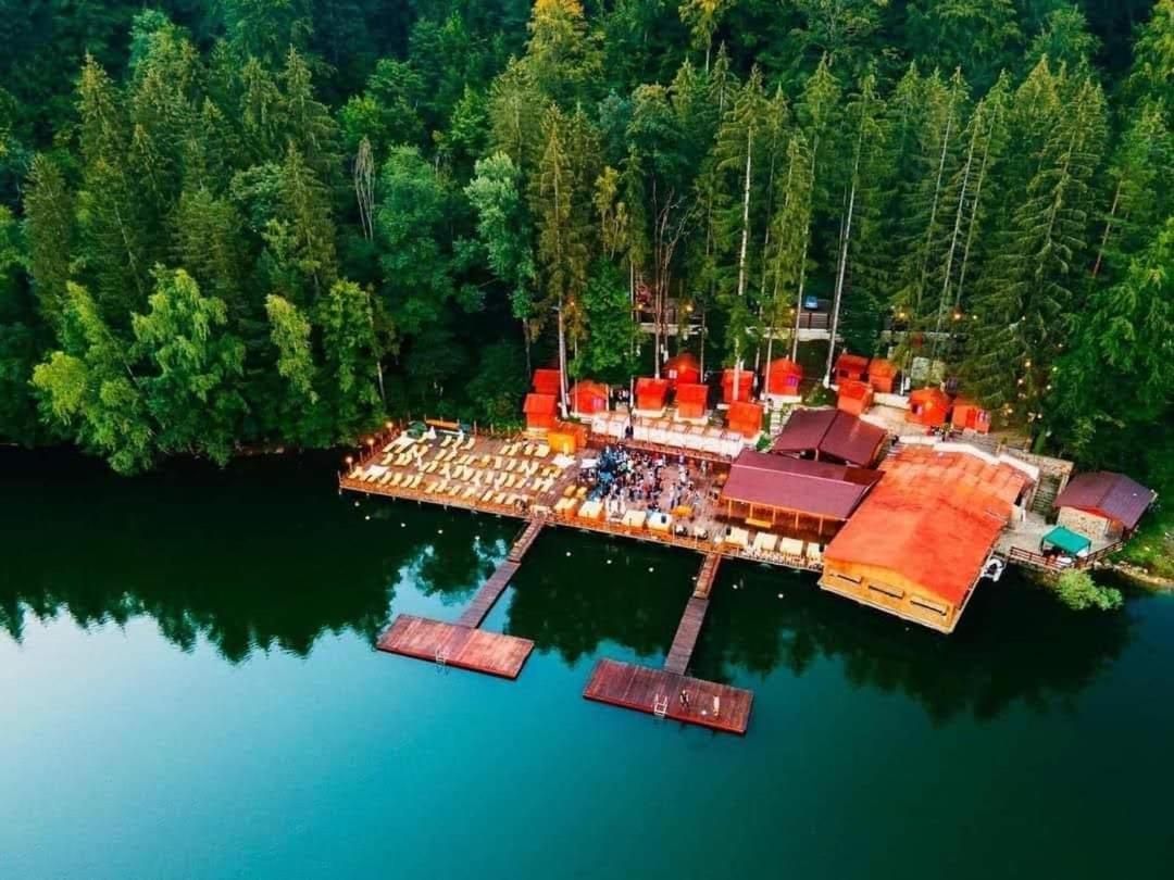 Hill House Valiug Crivaia