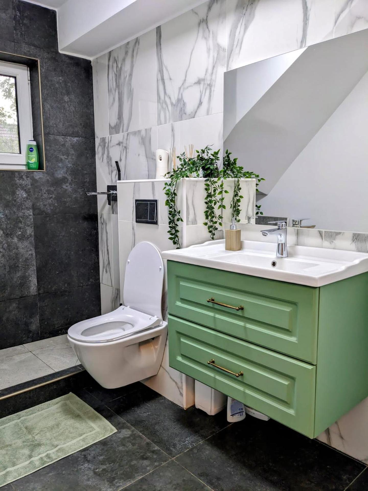 Hill House Valiug Crivaia