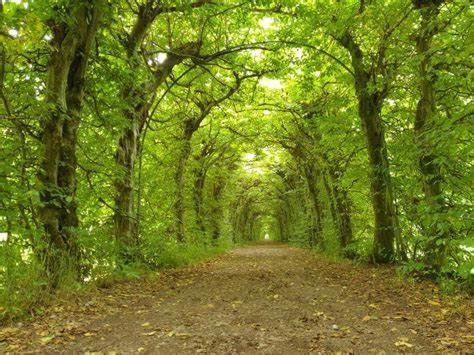 Au Repos de la Redoute