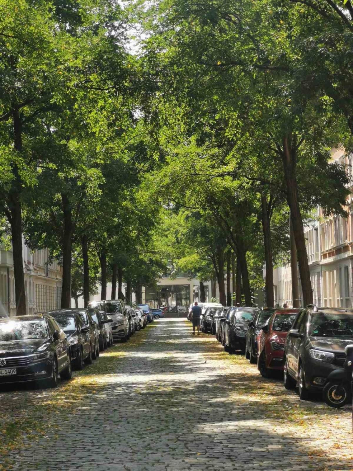 Loft mit 2 Terrassen - ruhig&sonnig